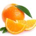 Orange_Slices