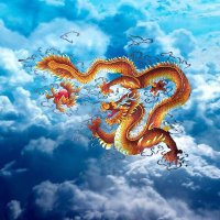 Diamond (@bokidc) 's Twitter Profile