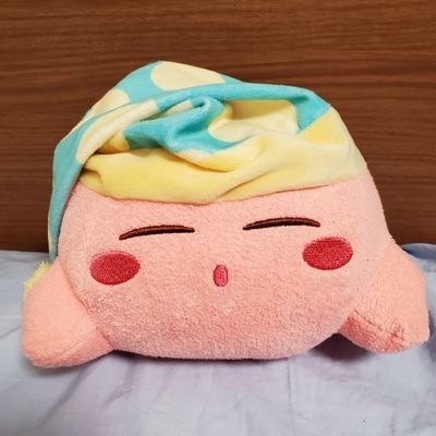 好きなものはポケモン、パワプロ、麻雀、きらら作品、東京ヤクルトスワローズ、大相撲、ミスチル。キリキザンが好き