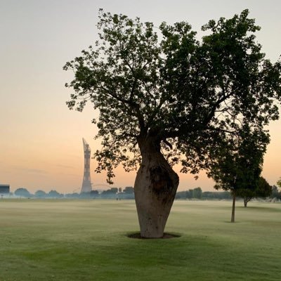 من أصعب معارك الحياة..أن تسعى لتحقيق ذاتك كما تريد في عالم يبذل قصارى جهده ليجعلك كالبقية.......قطري🇶🇦 الإنتماء والهوى