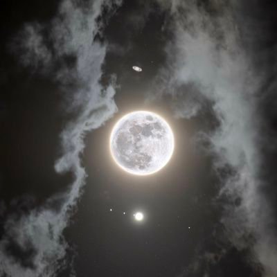 TraderBot10's profile picture. Maslatonero - Mi vieja me dió la vida, el análisis técnico las ganas de vivirla📈📊