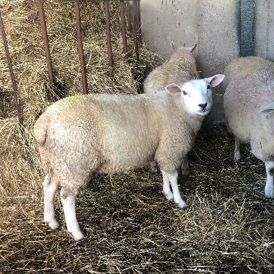 J_eastbay's profile picture. Time traveller