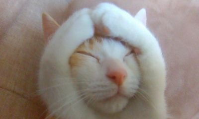 よろしくお願いします😊
猫ちゃん大好き
🌈✨🌸✨
好きバンド応援してます✨煉獄杏寿郎さん推し🌸✨LOVE&peace✨青空の碧い青好き✨I mean it!✨