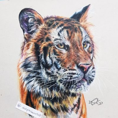 Award-winning Irish artist
Available for commissions                                                        

Insta: laurendolphinart