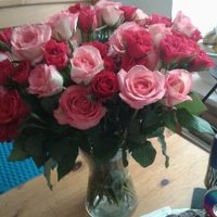 Nana67 (@csuetfeld) 's Twitter Profile Photo