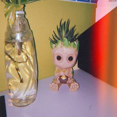 miserableNMagic's profile picture. Dancing in my Levi's ✴