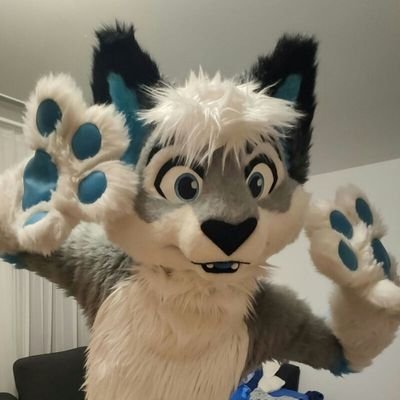 I like Fursuiting, Gaming, Dancing and hanging around with friends :)