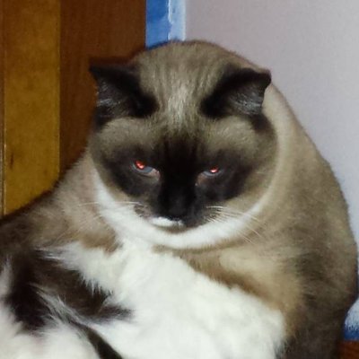 speedwalker's profile picture. If you're lookin' for trouble, you've found it with this guy.