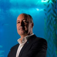 Emanuel Gonçalves (@emanueljfg) 's Twitter Profile
