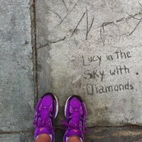 Paola Miglio (@paolamiglio) 's Twitter Profile