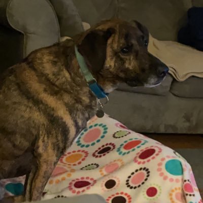 RBunnymum's profile picture. It's gonna be fine, right?  RIGHT??
