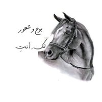 بْۆحٍ ۆشُعر🇸🇦 (@boh_she3r) 's Twitter Profile Photo بْۆحٍ ۆشُعر🇸🇦 (@boh_she3r) 's Twitter Profile Photo