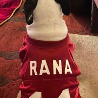 Ryan Rana - @Greyhound27 Twitter Profile Photo
