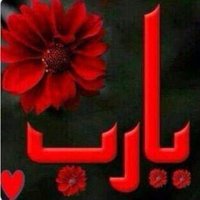 أم علي (@glupx3h79dnuon8) 's Twitter Profile Photo