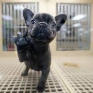 alivia_sager's profile picture. 13
loves the color blue
loves cats
loves dogs
loves her friends
loves her cousins
taken
loves her sister 
loves her family and friends
loves cole
loves gage