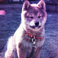 taron (@taron1286) 's Twitter Profile