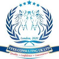 🇹🇷Efes Consulting UK🇬🇧 (@efesconsulting) Twitter profile photo