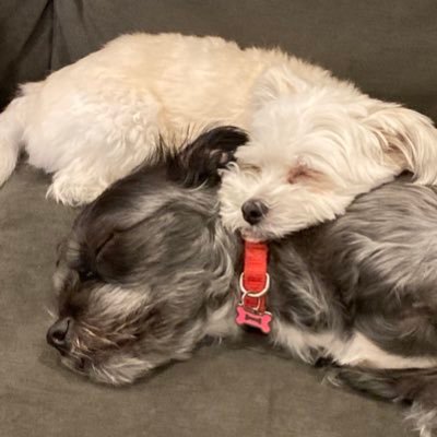 ace22ts's profile picture. 