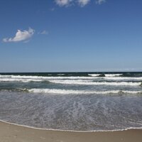 Amy G. (@ag_in_nc) 's Twitter Profile