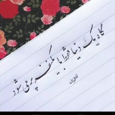 Movahhedi128's profile picture. 