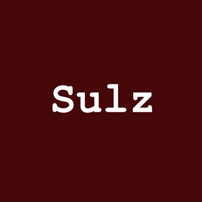 Teamsulz's profile picture. The page for Presidential Candidate @Mr_sulz.