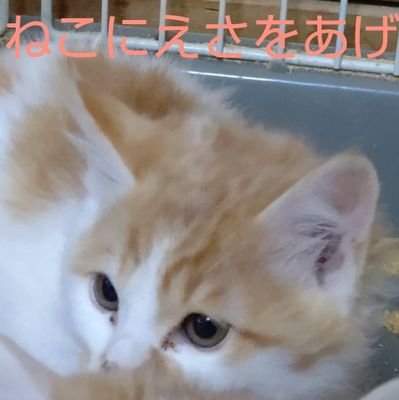 p0caw1Hr6P9bFDm's profile picture. みなさんこんにちはYouTubeはじめたのでできればみてください