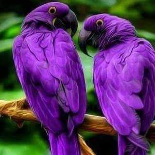 Alexx62997864's profile picture. just new here