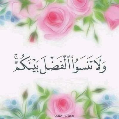 pPLwNjTKo3FVQ4a's profile picture. 