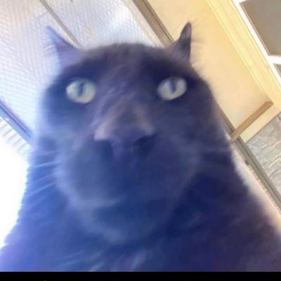 BitssBug's profile picture. i hate it here