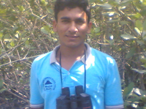 harre999's profile picture. 