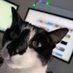 J Granger (@steven08452710) Twitter profile photo J Granger (@steven08452710) Twitter profile photo