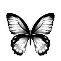 TheLoveChange (@thelovechange) 's Twitter Profile