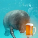 gajumaru959's profile picture. 主にプライベートなことなどを呟きます。アイコンは熱川バナナワニ園のマナティ。