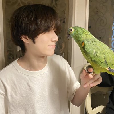 stay_armys's profile picture. fan account