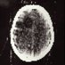 Neurosurgery Fact of the day (@neurosurgeryof) Twitter profile photo Neurosurgery Fact of the day (@neurosurgeryof) Twitter profile photo
