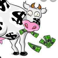 Ca$h Cow (@cashcowsavage) 's Twitter Profile
