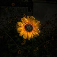REHAM AHMED ๐ (@reahmed510) 's Twitter Profile