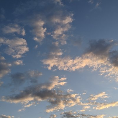 PowerfulQs's profile picture. One Powerful Question a Day
#PowerfulQuestions #BehaviourChange #PersonalChange