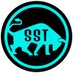 SST Investing Profile picture
