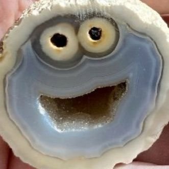 elsapoylaestaca's profile picture. Que culpa tiene la estaca si el sapo salta y se estaca?