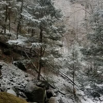 mxclutch's profile picture. 