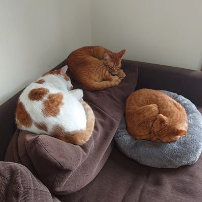 hBnlKRW3p4mlVeI's profile picture. 