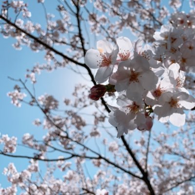 なぁさんのプロフィール画像