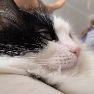 Dmytro71738764's profile picture. 