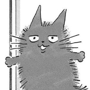 George Parkさんのプロフィール画像