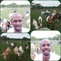 Archbold Musonza (@archboldmusonza) 's Twitter Profile