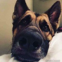 PWR134 (@blakhawks11) 's Twitter Profile