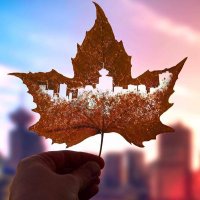 iPaul🇨🇦🇺🇦(@iPaulCanada) 's Twitter Profile Photo