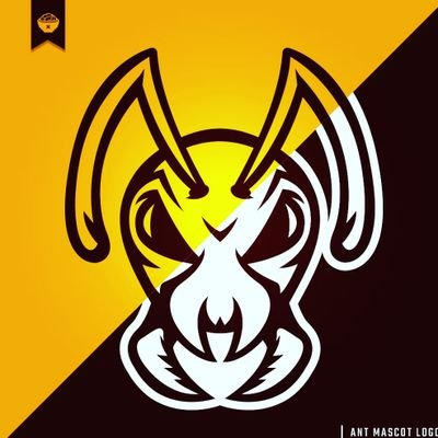 Beach Bum/BattleDrumManiac/MLGproANTZILLAH/OGinCKmember
Streamer/YouTuber