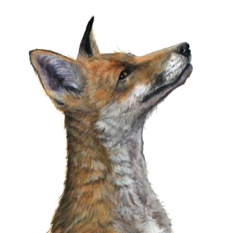 HazelMountford's profile picture. Wildlife artist interested in the evolving competition for space between humans and animals and between animal species.